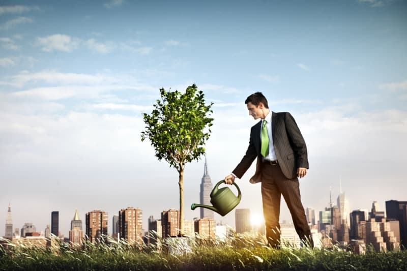 Organizational Essentials: Cultivate, Sow, Feed and Weed