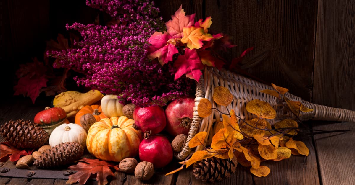 Employers and Job-Seekers: The Autumn Hiring Harvest Begins, Starting Now!