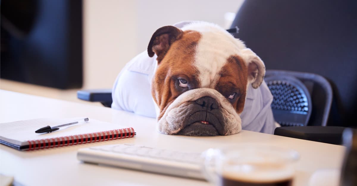 The 10 Hidden Costs of a Bad Hire — and How Smart Companies Avoid Them